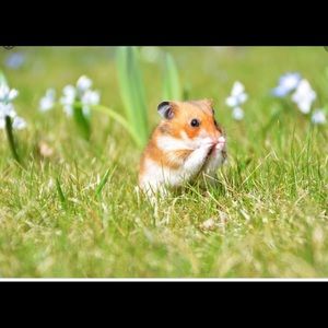 Meet your Posher, Caroline